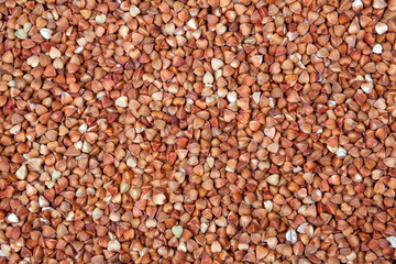 buckwheat grain