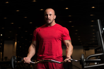 Fototapeta na wymiar Big Man Exercise Biceps With Barbell