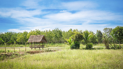 Fototapeta na wymiar A hut at the countryside.