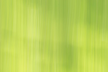 Obraz premium Blurred abstract background. Pastel green.