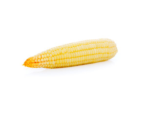 Corn on white background