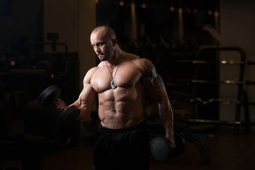 Fototapeta na wymiar Man With Dumbbells Exercising Biceps In Gym