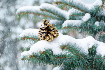 Winter. Snow. Snowfall. Cone on fir branches. Christmas new year background.