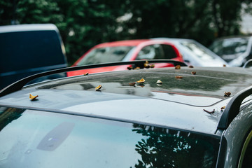 Obraz premium Cars parked on the street. On the roof of the buckeye