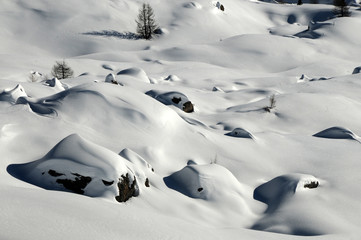 Beautiful Winter Scene at the San Pellegrino pass in the Dolomites in the Val di Fiemme, Trento, Italy.