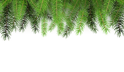 Arranged Green Fir Tree Branches Illustration with Copy Space.