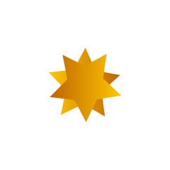 Star Icon Vector