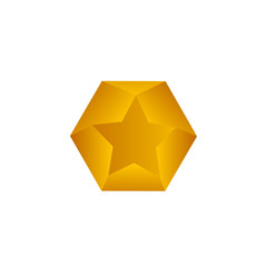 Star Icon Vector