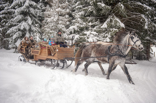 Family enjoying a ride in a horse-drawn sleigh in winter