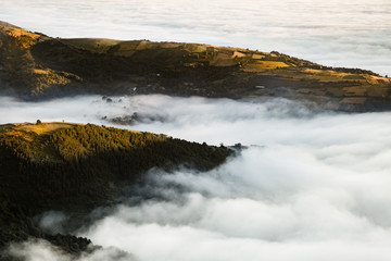 nebbia