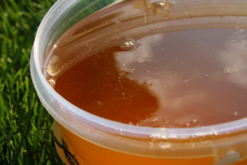 Plastic bucket with freshly collected herbal honey on the mown l