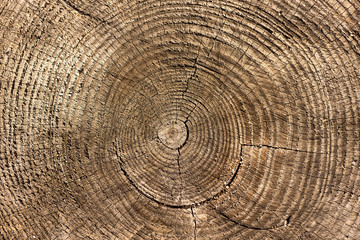 Naklejka premium Struktur