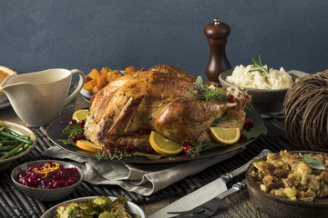 Homemade Thanksgiving Turkey Dinner © Brent Hofacker