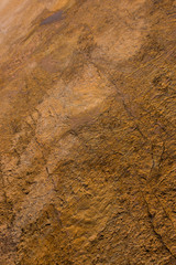 Dinosaur footprints on stone