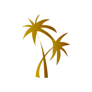 Palm Beach Vector