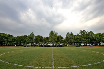 ground covered with turf