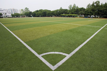 ground covered with turf