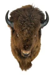 Foto op Plexiglas Bison hoofd geïsoleerd op een witte achtergrond. Buffeltrofee die aan de muur hangt. © milkovasa