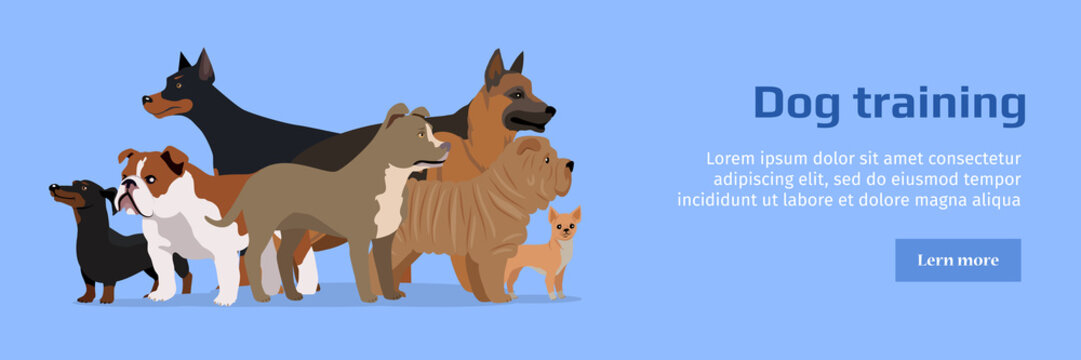 Professional Dog Training Service Banner.