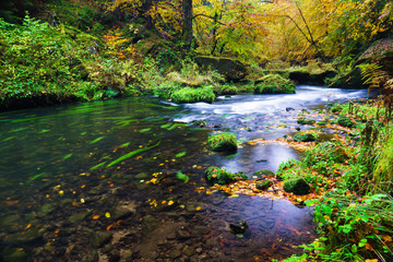 Edmund Gorge is located in the Czech Switzerland National Park
