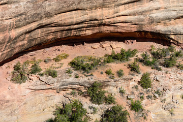 Natural Bridges National Monument