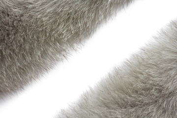 gray fluffy fur with long pile with space for text
