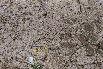 Ground background
