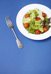 A dish of classic side salad on a blue background with fork and blank space below