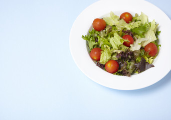A dish of classic side salad on a pastel blue background with empty space at side