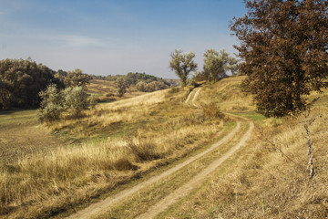 country road in the countryside