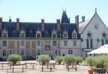 Fototapeta na wymiar Schloss in Blois, Loiretal
