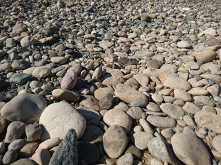 taş