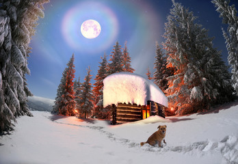 Habitation of shepherds.