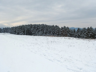 Fototapeta na wymiar Snowy field