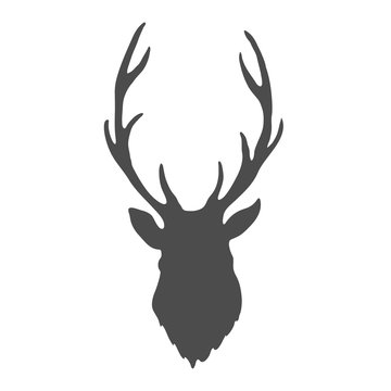 Deer Head isolated on white background. Vector