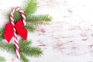Christmas candy cane, tree branch on white background