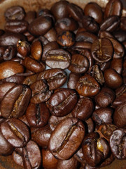 Grains of roasted coffee - close-up