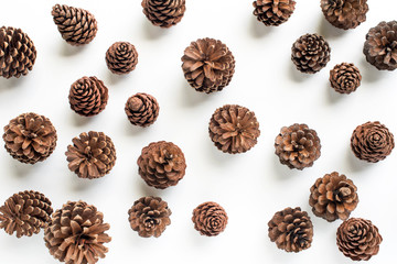 pine cones on white background.
