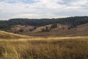Fototapeta premium autumn country hilly landscape