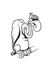 Vulture witty sunglasses