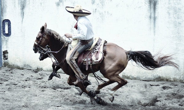 Charro Photos Download The BEST Free Charro Stock Photos  HD Images