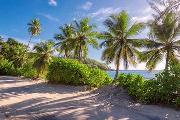 Fototapeta na wymiar The road along the ocean beach on Mahe island, Seychelles.