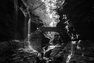 Peel and stick wall murals Black and white Beautiful day at Watkins Glen State Park