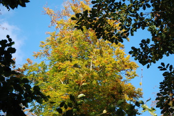 Herbst in Bad Salzdetfurth