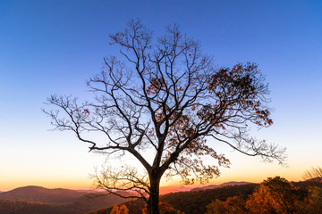 Sunrise in Shenandoah