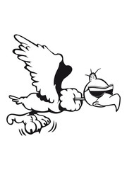 Vulture witty flying sunglasses