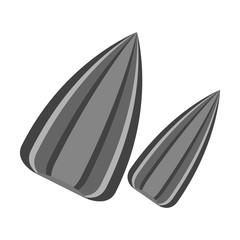 seed single sunflower black