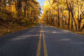 Fall Season on Skyline Drive