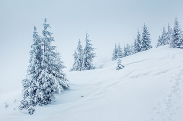 Fototapeta na wymiar Amazing winter landscape