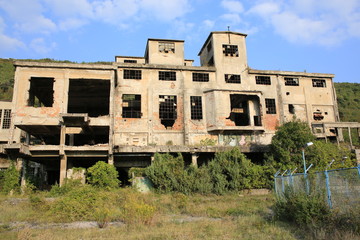 Ruined plant in Istria, Croatia